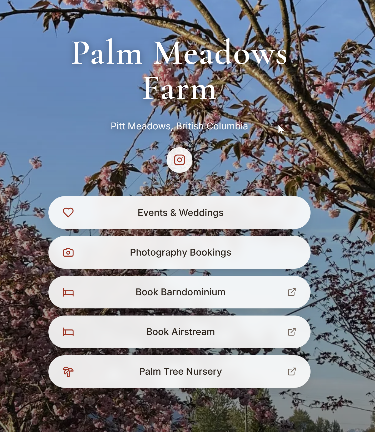 Palm Meadows Farm